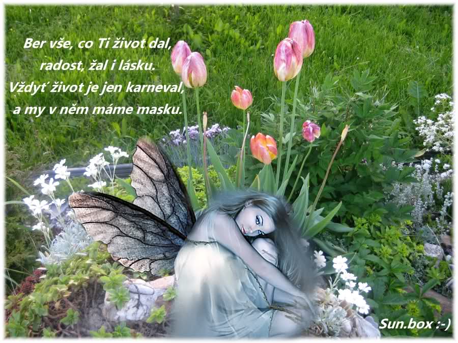 ŽIVOT